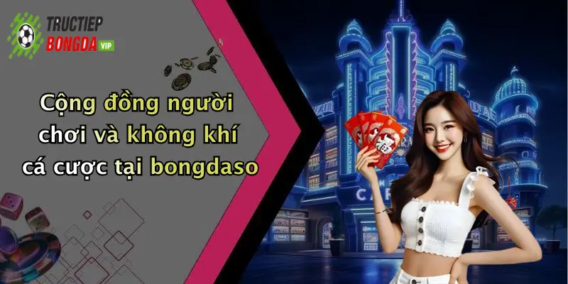 Cộng đồng người chơi và không khí cá cược tại bongdaso