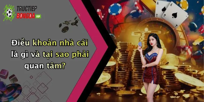 Điều khoản nhà cái là gì và tại sao phải quan tâm?