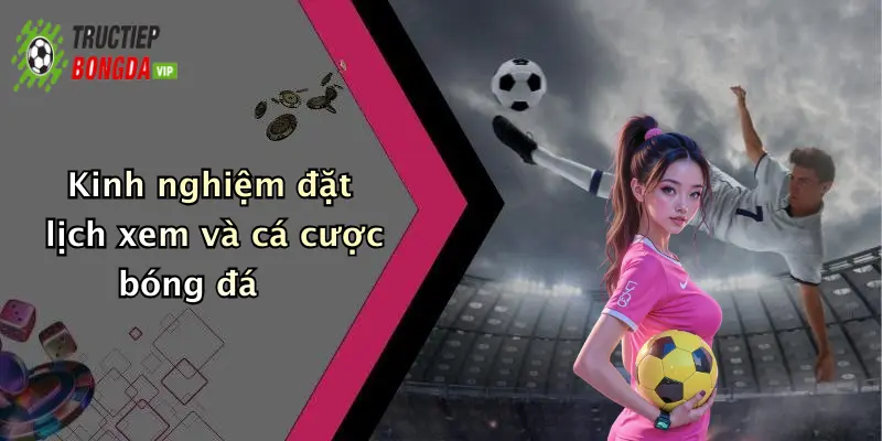 Kinh nghiệm đặt lịch xem và cá cược bóng đá