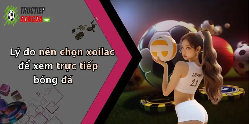 Lý do nên chọn xoilac để xem trực tiếp bóng đá