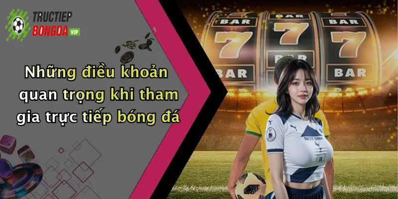 Những điều khoản quan trọng khi tham gia trực tiếp bóng đá