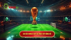 Soi Kèo World Cup: Cẩm Nang Toàn Diện Để Chinh Phục Đỉnh Cao Bóng Đá Thế Giới