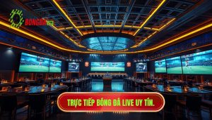 Xem bóng đá live miễn phí hôm nay - Link trực tiếp HD mượt mà